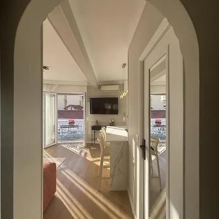 Appartement Mimosa 2br With Balcony - Walk To Palais And Cannes